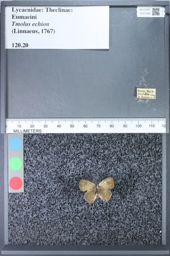 Media type: image;   Entomology 71389